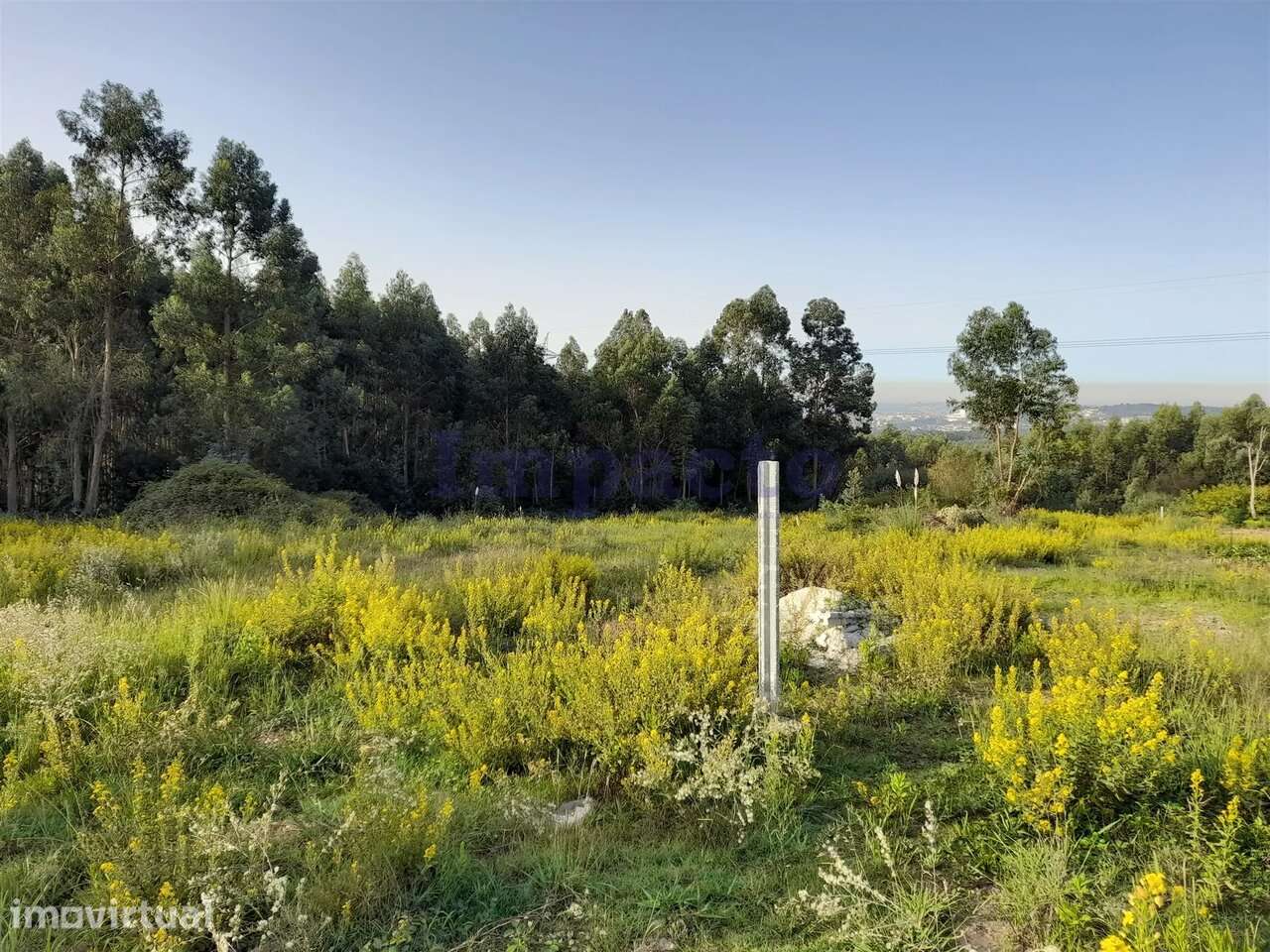 Terreno, Aveiro, Santa Maria da Feira - Grande imagem: 2/5