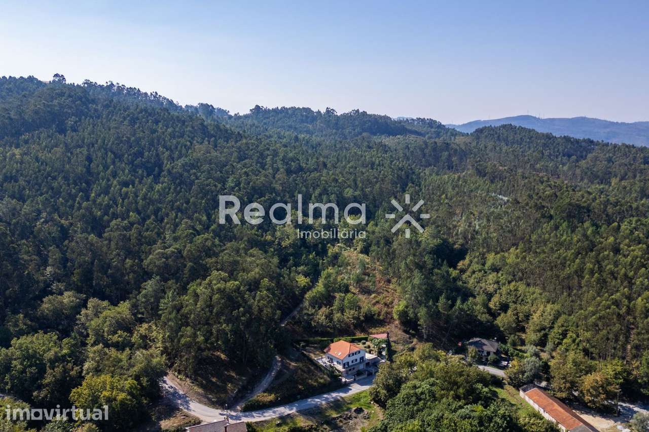 Terrenos Rústicos e Mina de Água – Póvoa de Lanhoso - Grande imagem: 2/15