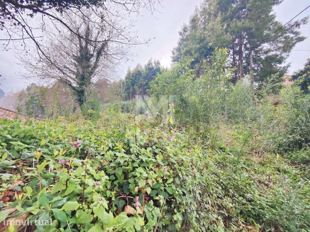 Terreno destinado a construção para venda em Venade - Caminha - Grande imagem: 5/6