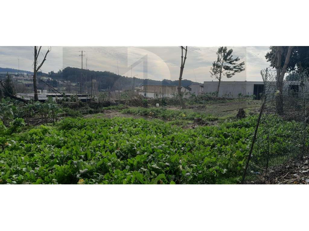 Lote de terreno - Grande imagem: 3/7