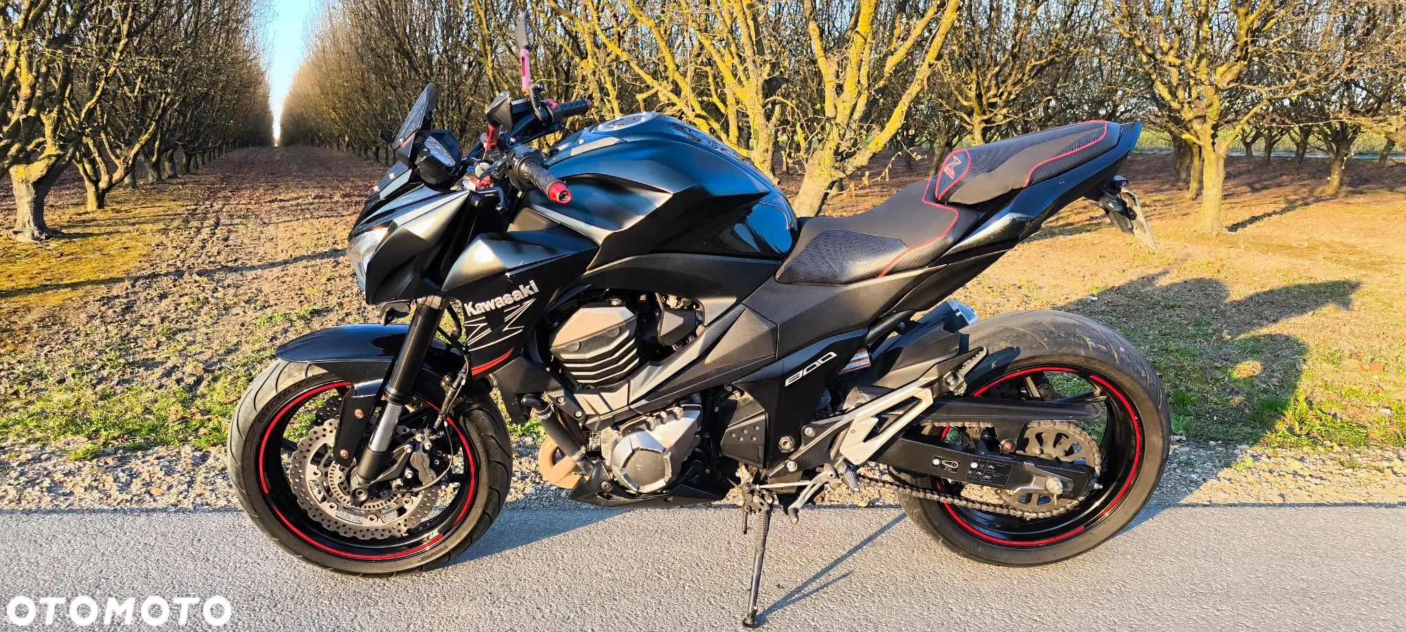 Kawasaki Z - 6