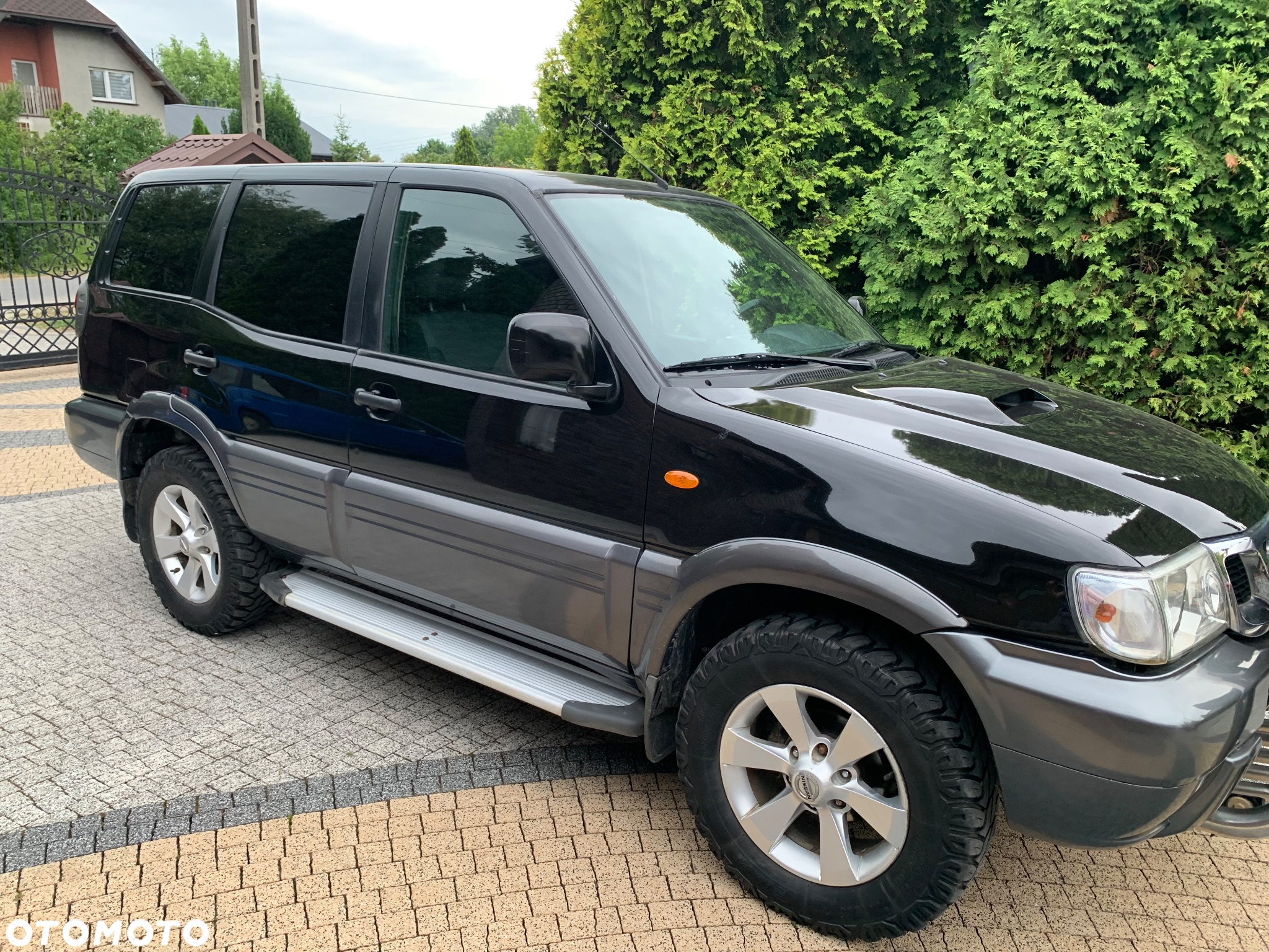 Nissan Terrano - 3