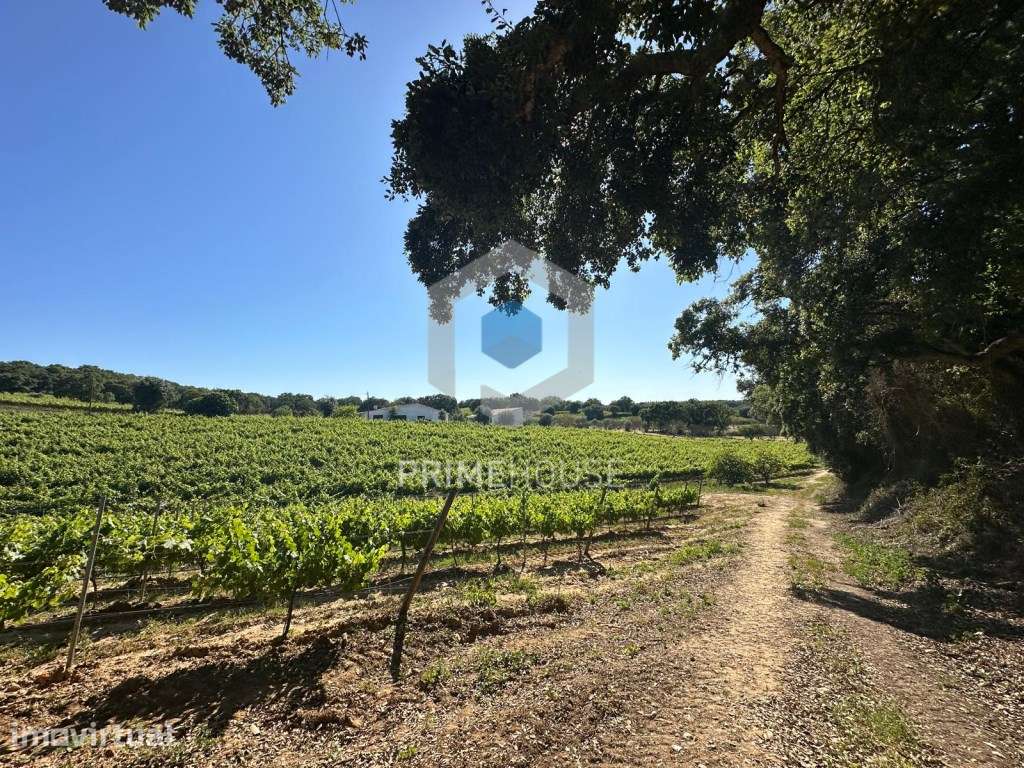 Propriedade com 60.000 m2 com localização sublime , em Azeitão - Grande imagem: 2/52