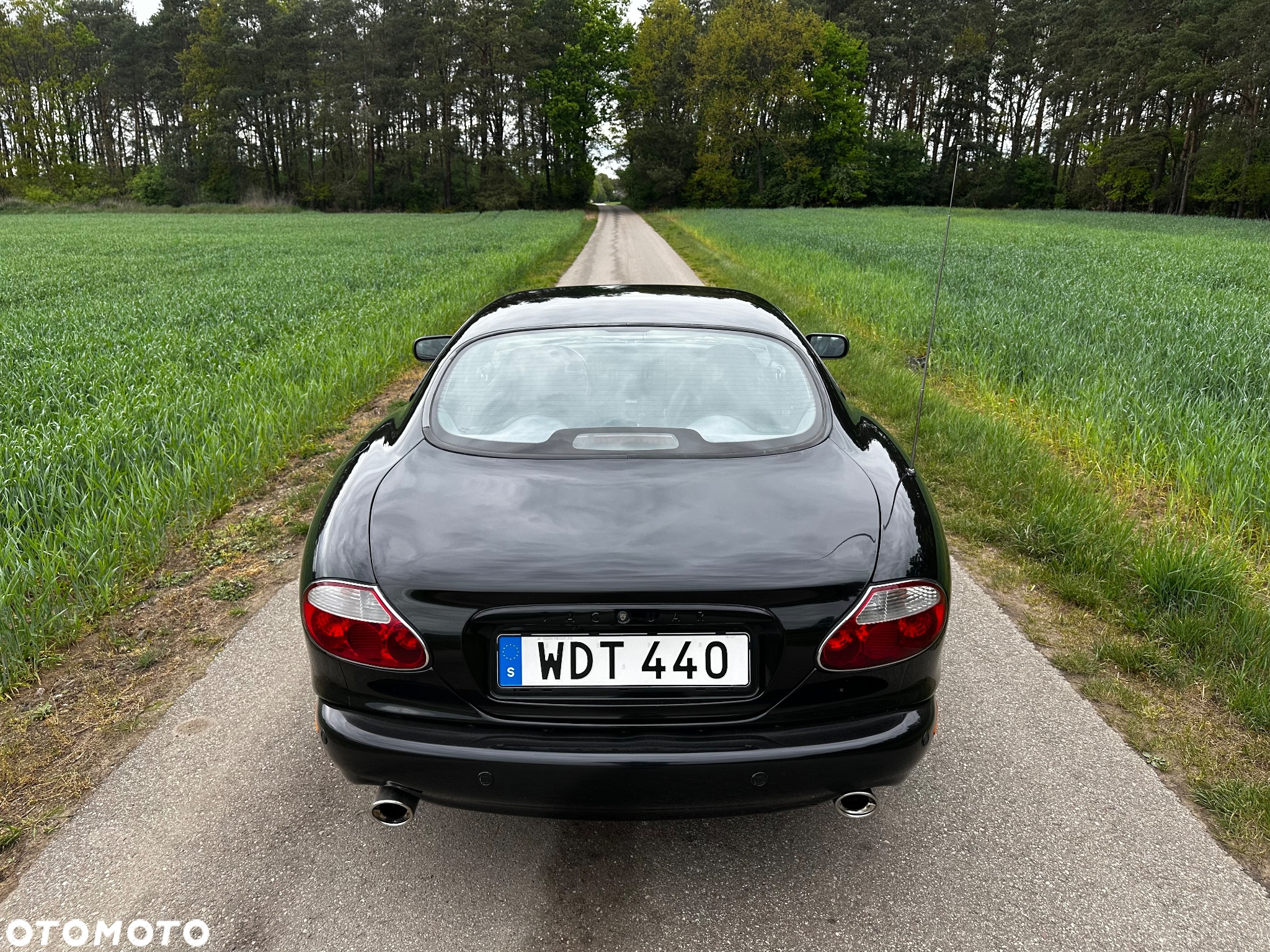 Jaguar XK8 4.2 - 15