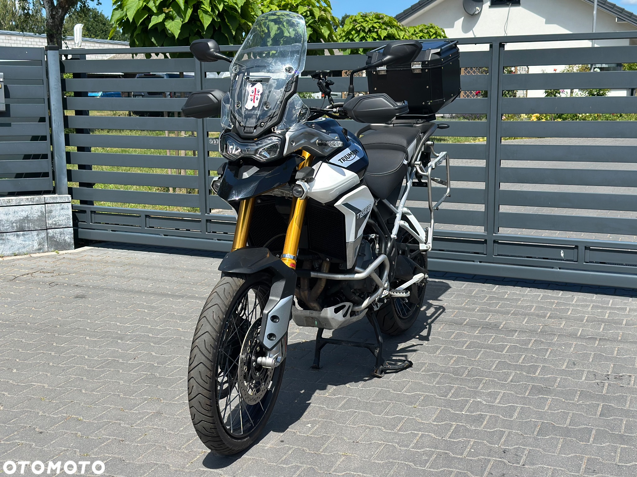 Triumph Tiger - 4