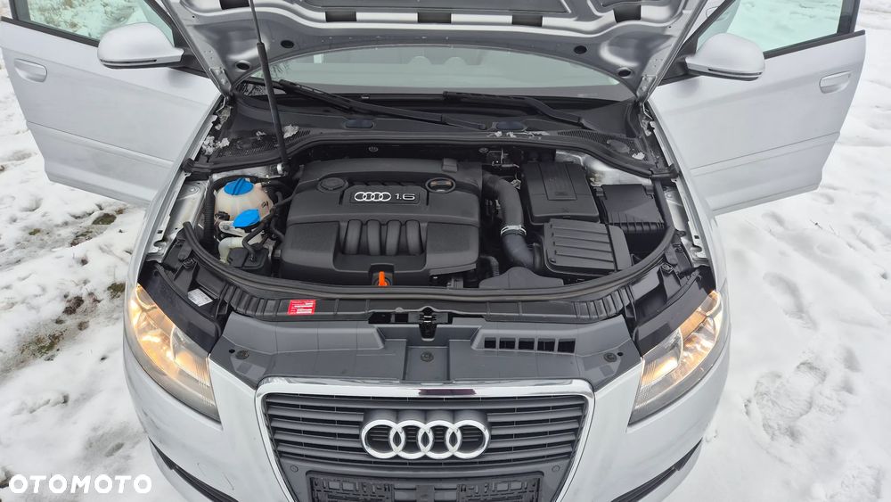 Audi A3 Sportback 1.6 Ambiente - 17