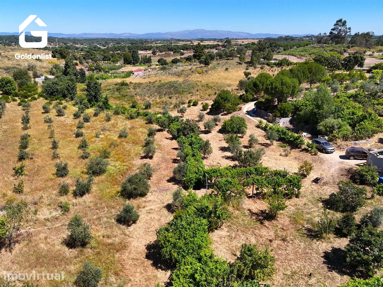Quinta  Venda em Castelo Branco,Castelo Branco - Grande imagem: 5/30