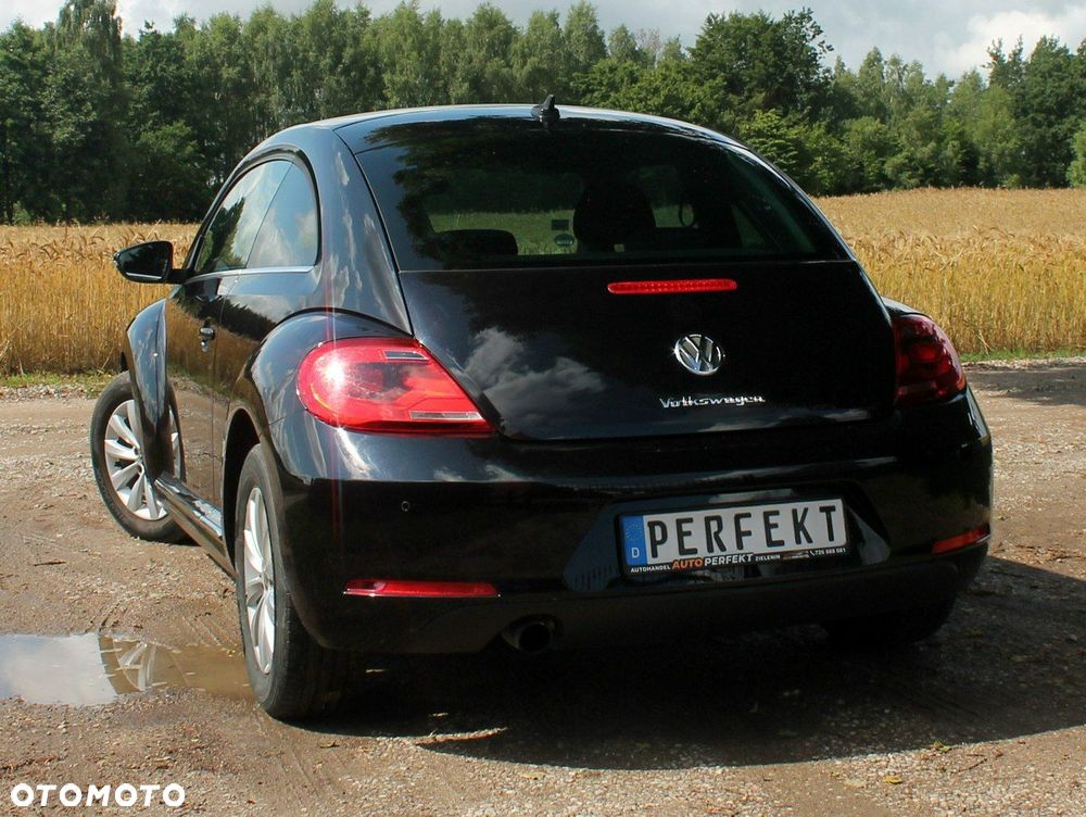 Volkswagen Beetle - 13