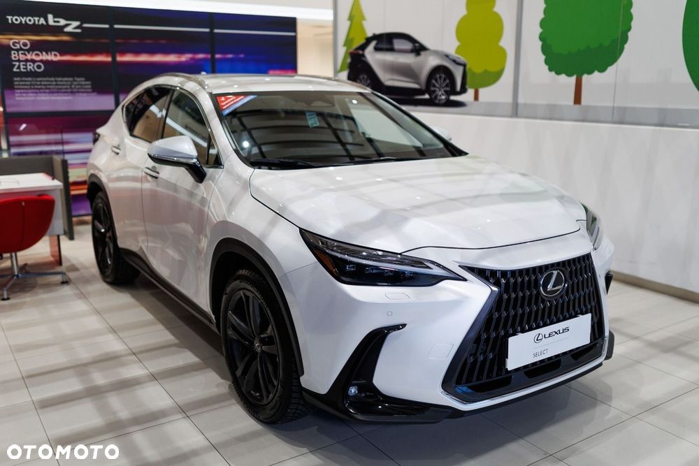Lexus NX - 19