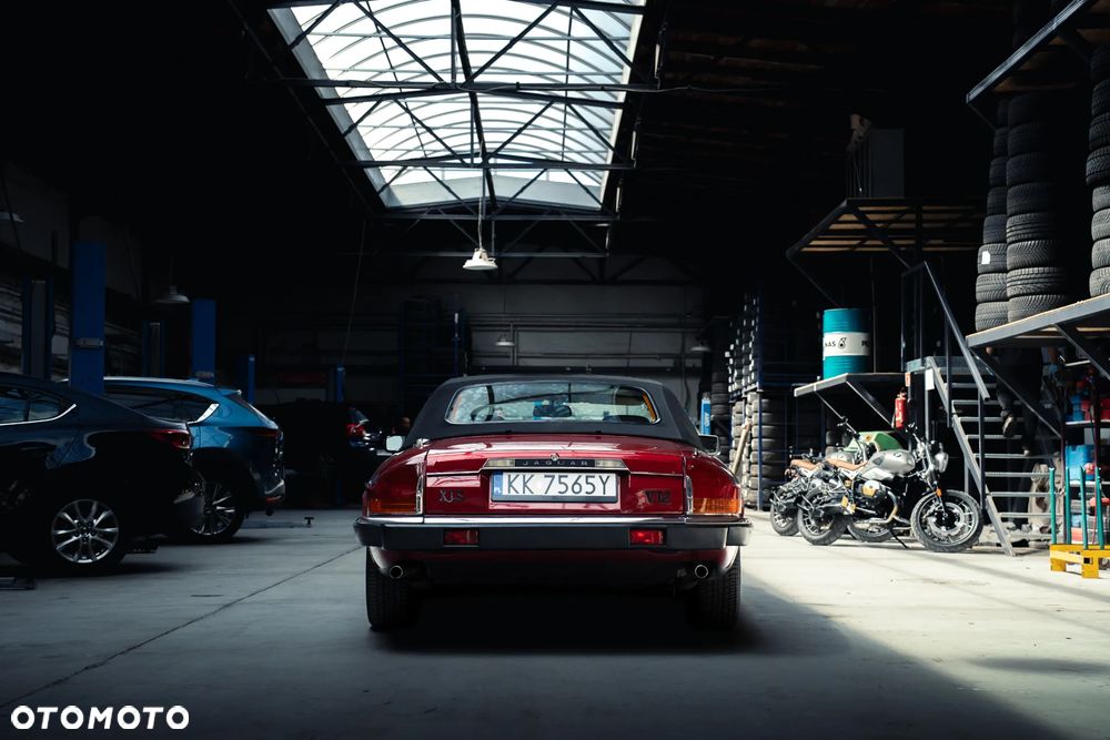 Jaguar XJS - 6
