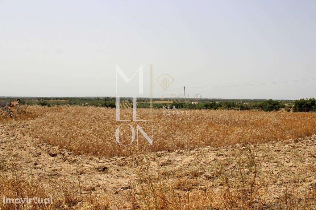 Terreno – Venda Lote de Terreno Urbano com 1278m2 - construção 319m2 e - Grande imagem: 5/13