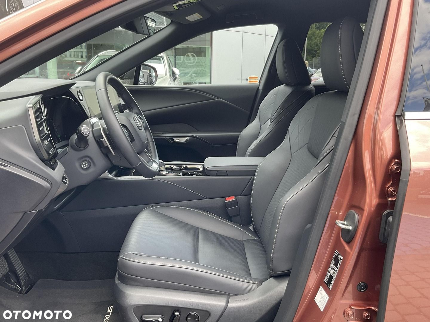 Lexus RX - 9