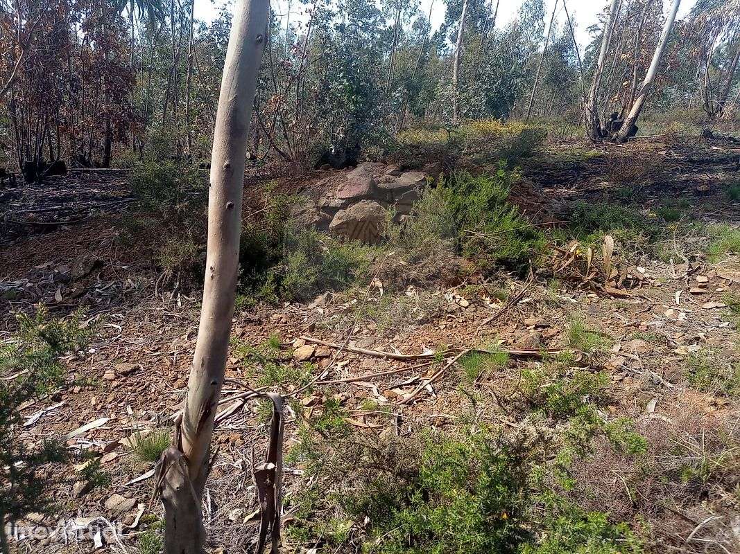 Terreno  para venda - Grande imagem: 2/9