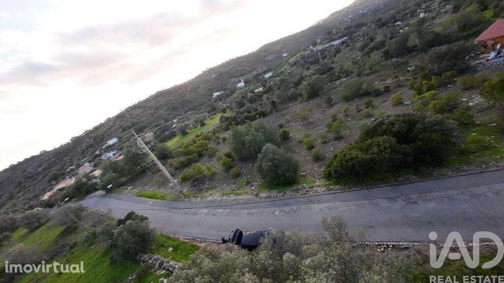 Terreno Agrícola em Conceição e Estoi - Grande imagem: 2/8