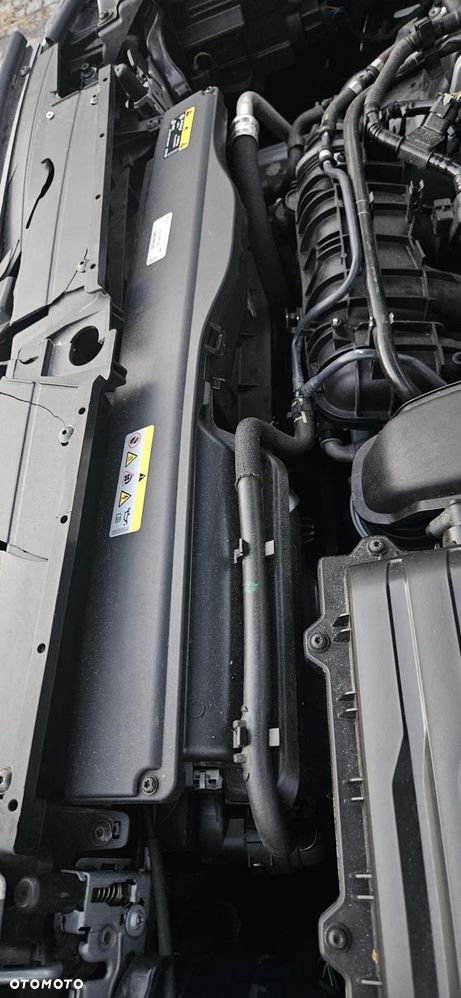 Volkswagen Tiguan 1.5 TSI EVO Life DSG - 31