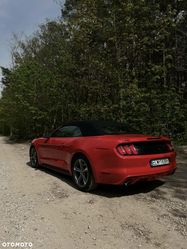 Ford Mustang 3.7 V6 - 5