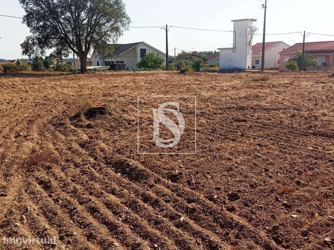 Terreno  Venda em São Pedro de Tomar,Tomar - Grande imagem: 5/17