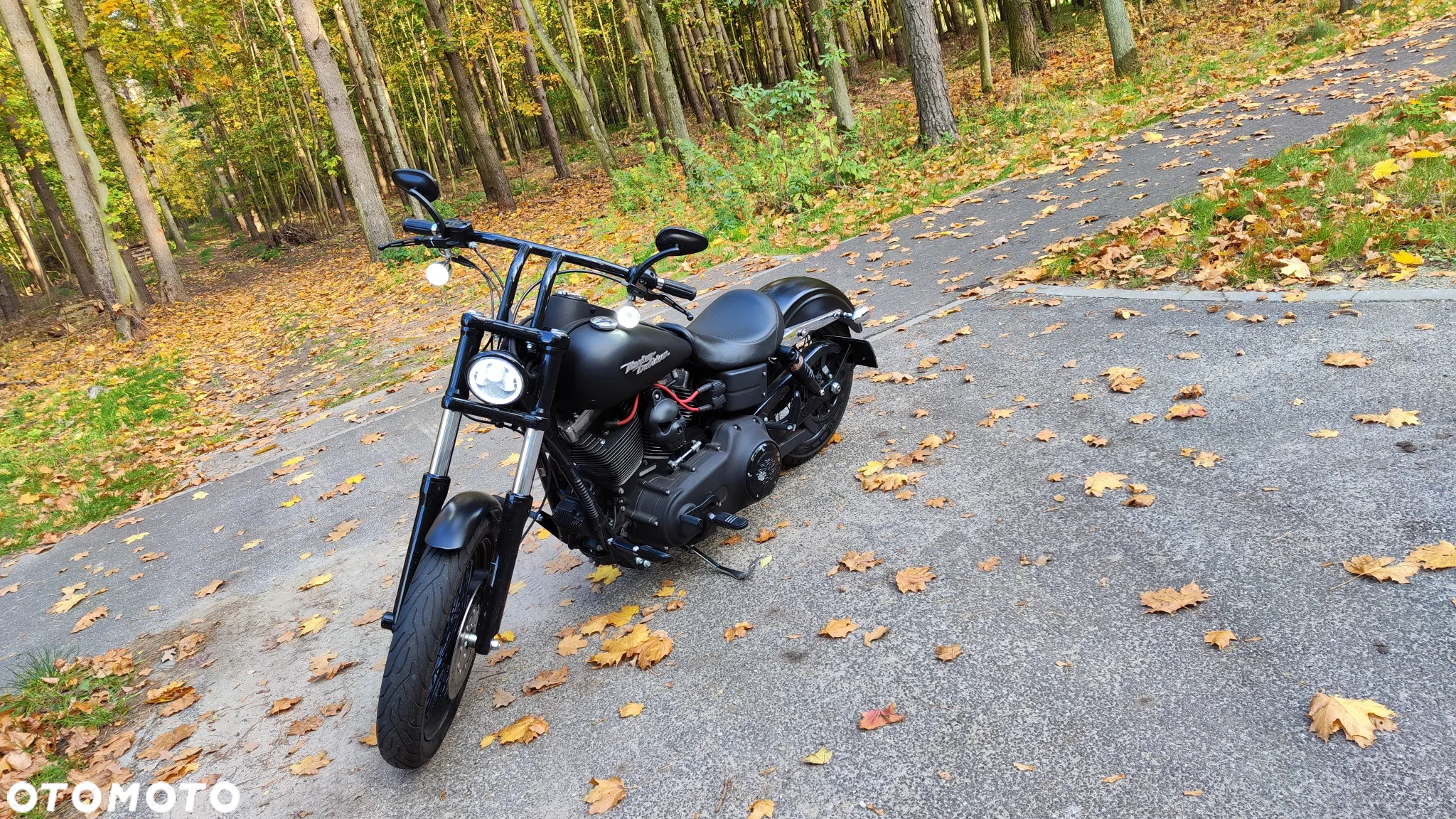 Harley-Davidson Dyna Street Bob - 2