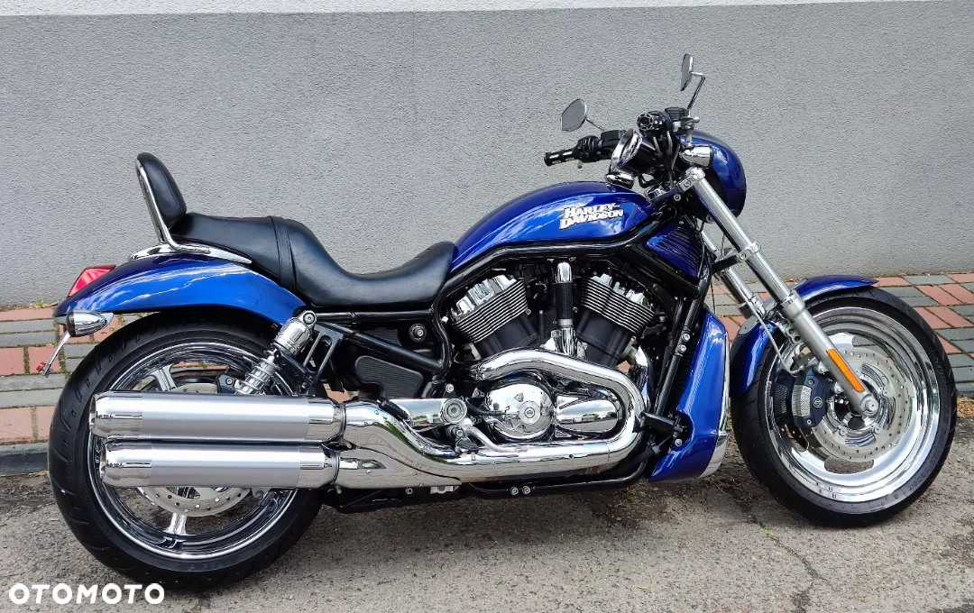 Harley-Davidson Softail V-Rod - 6