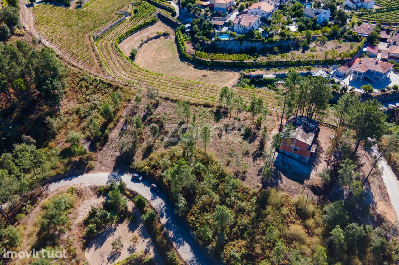 3 Terrenos Rústicos em Gatão, Amarante. - Grande imagem: 4/49