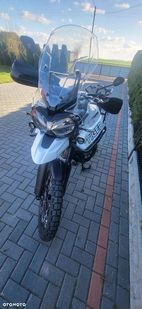 Triumph Tiger - 11