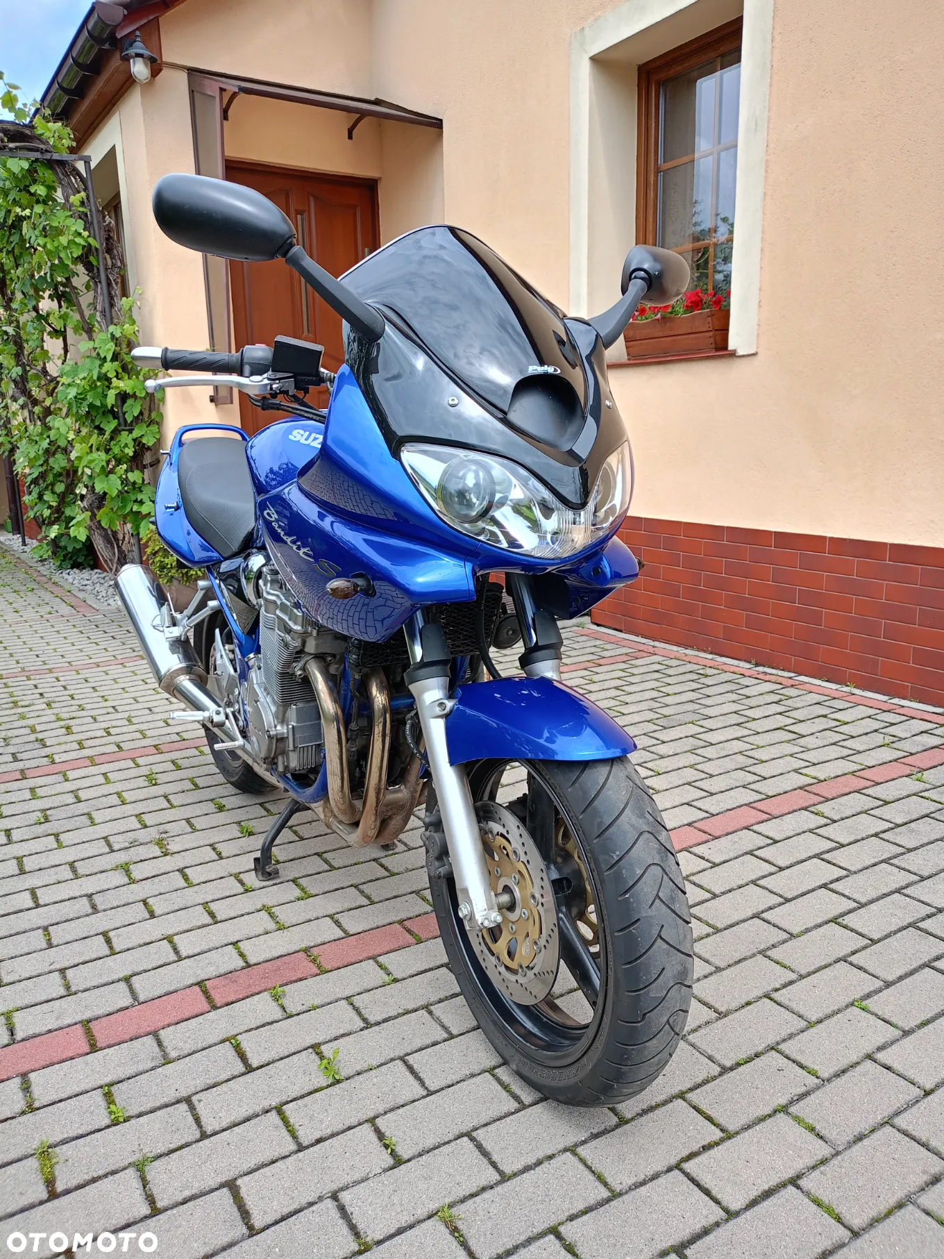 Suzuki Bandit - 3