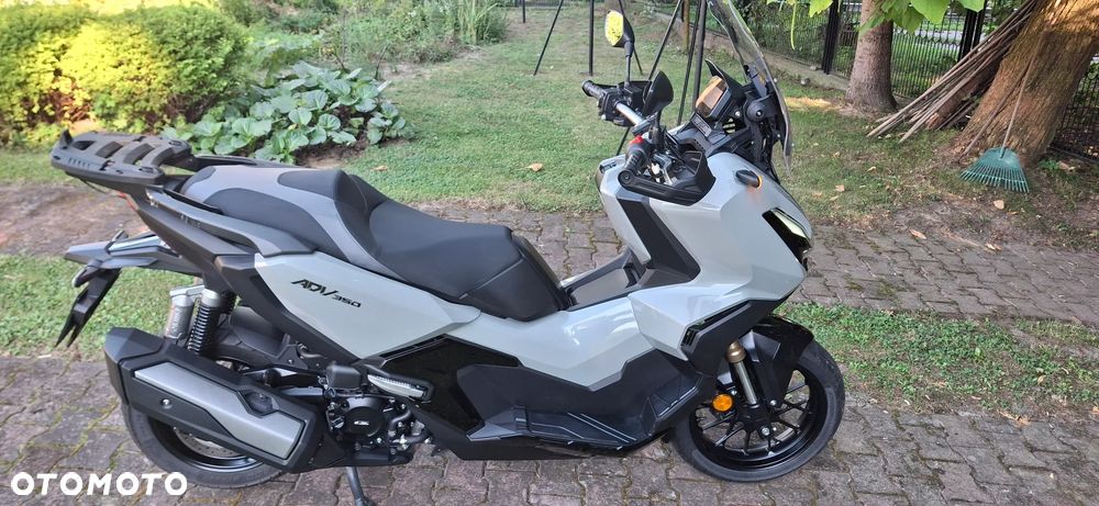 Honda ADV350 - 3