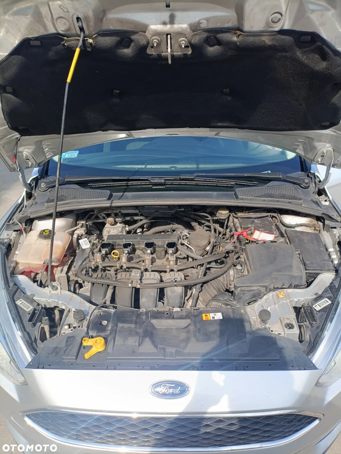 Ford Focus - 17