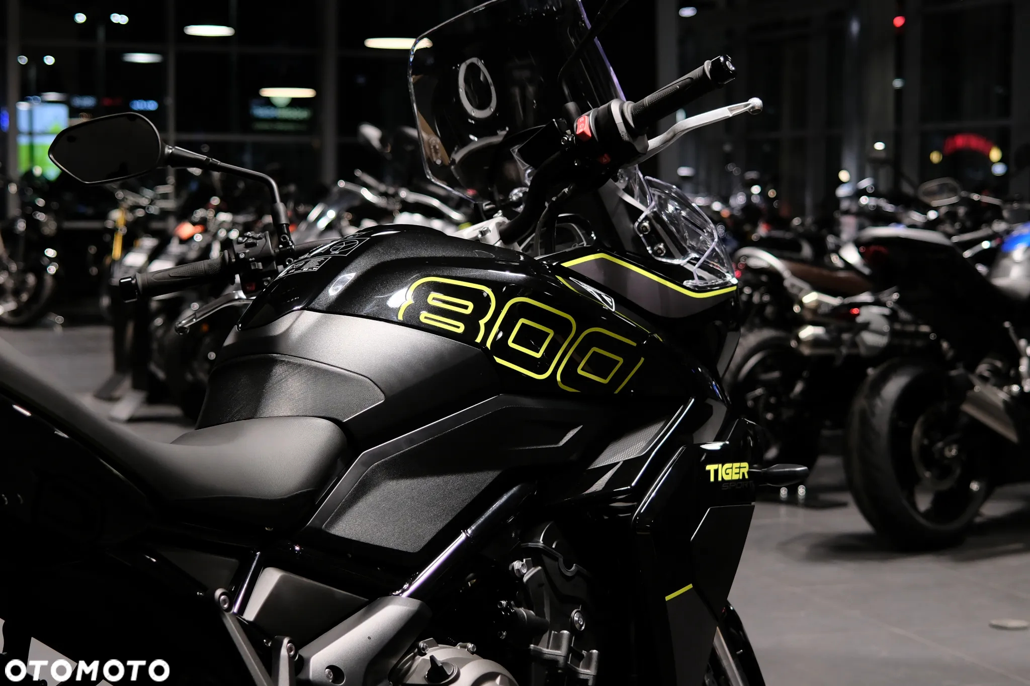Triumph Tiger - 12