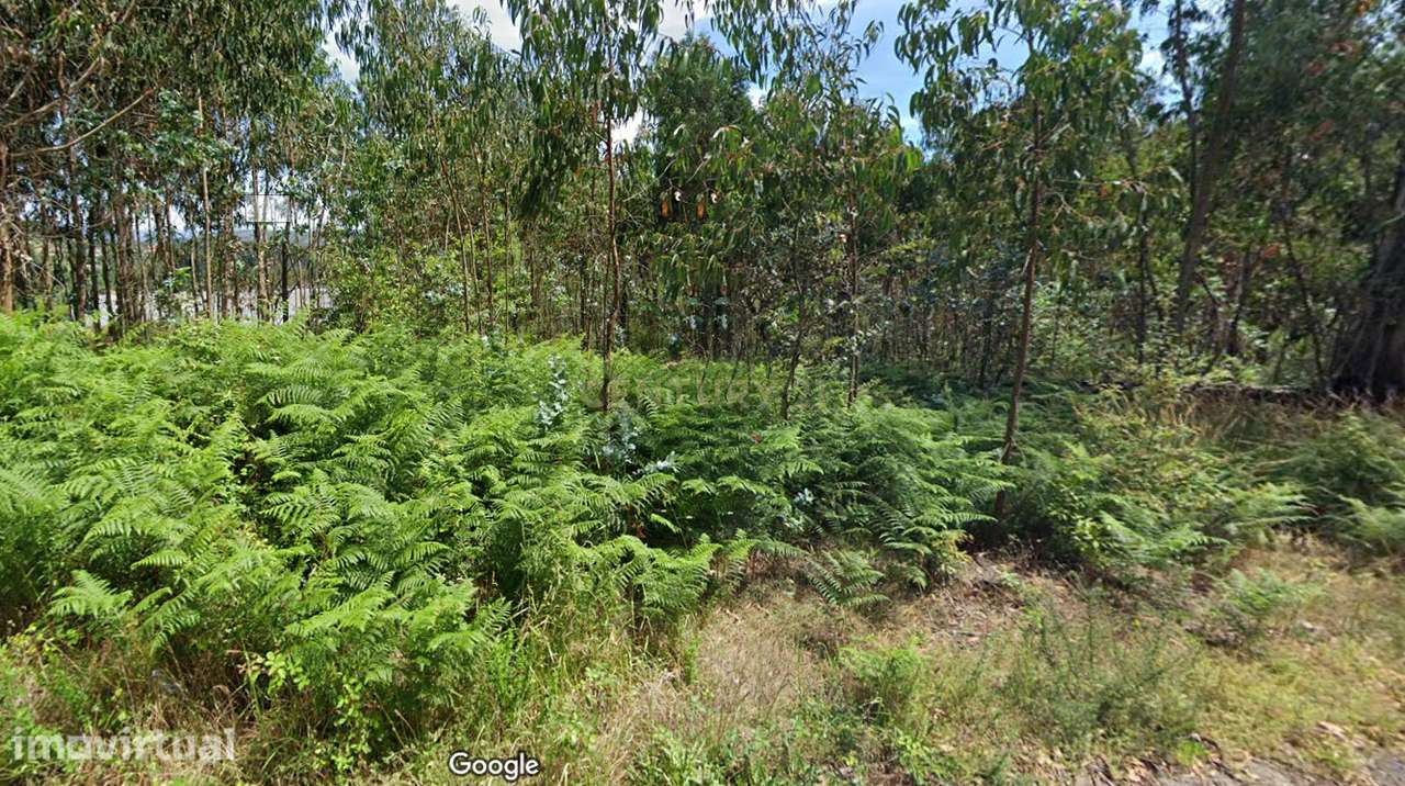 Terreno em Vila Verde com 12.955m2 - Grande imagem: 4/12