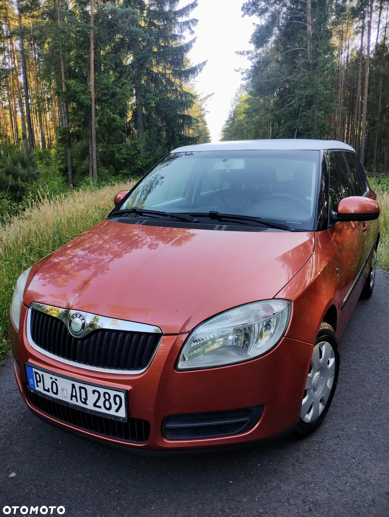 Skoda Fabia - 16