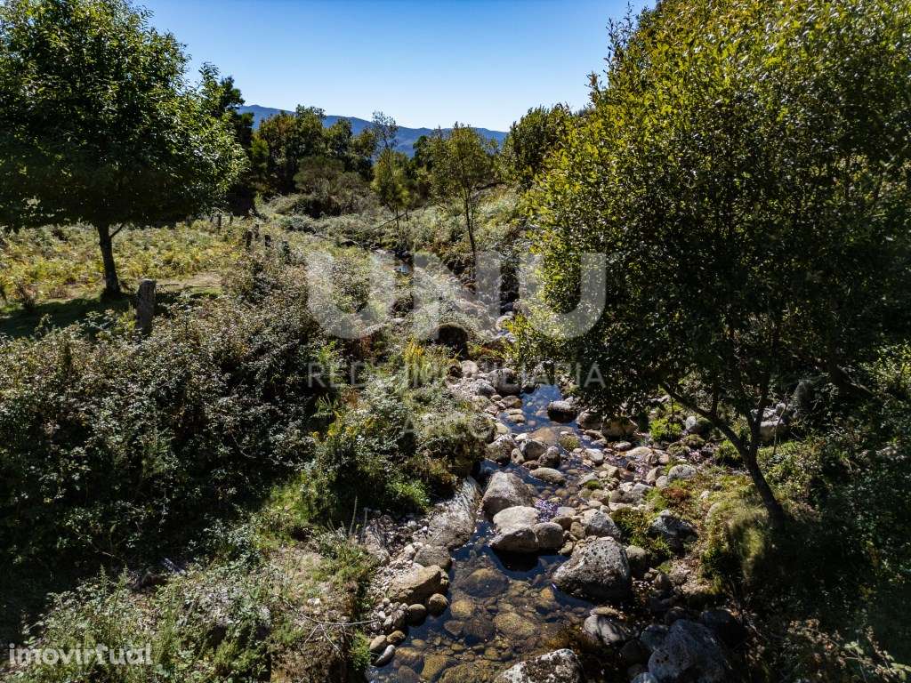 TERRENO PLANO E DE FÁCIL ACESSO - Grande imagem: 2/20