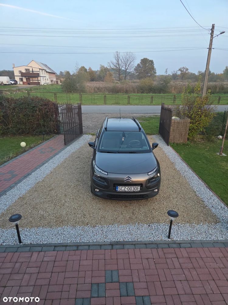 Citroën C4 Cactus - 2