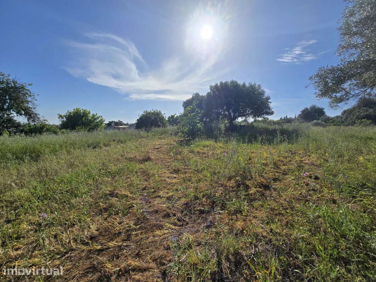 Quinta de 6 assoalhadas com 1,5 hectares de terreno e vista mar - Grande imagem: 5/49