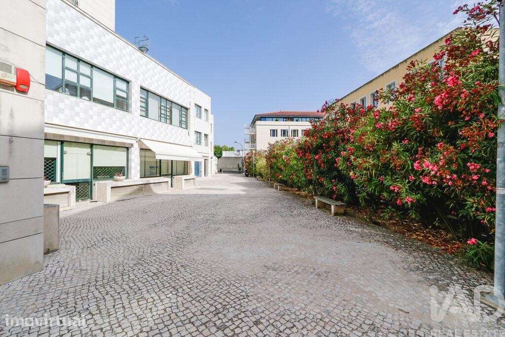 Loja / Estabelecimento Comercial em Alvalade de 160,00 m2