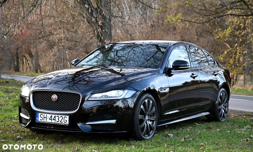 Używany Jaguar XF 2020 - 119 900 PLN, 25 000 km - Otomoto.pl