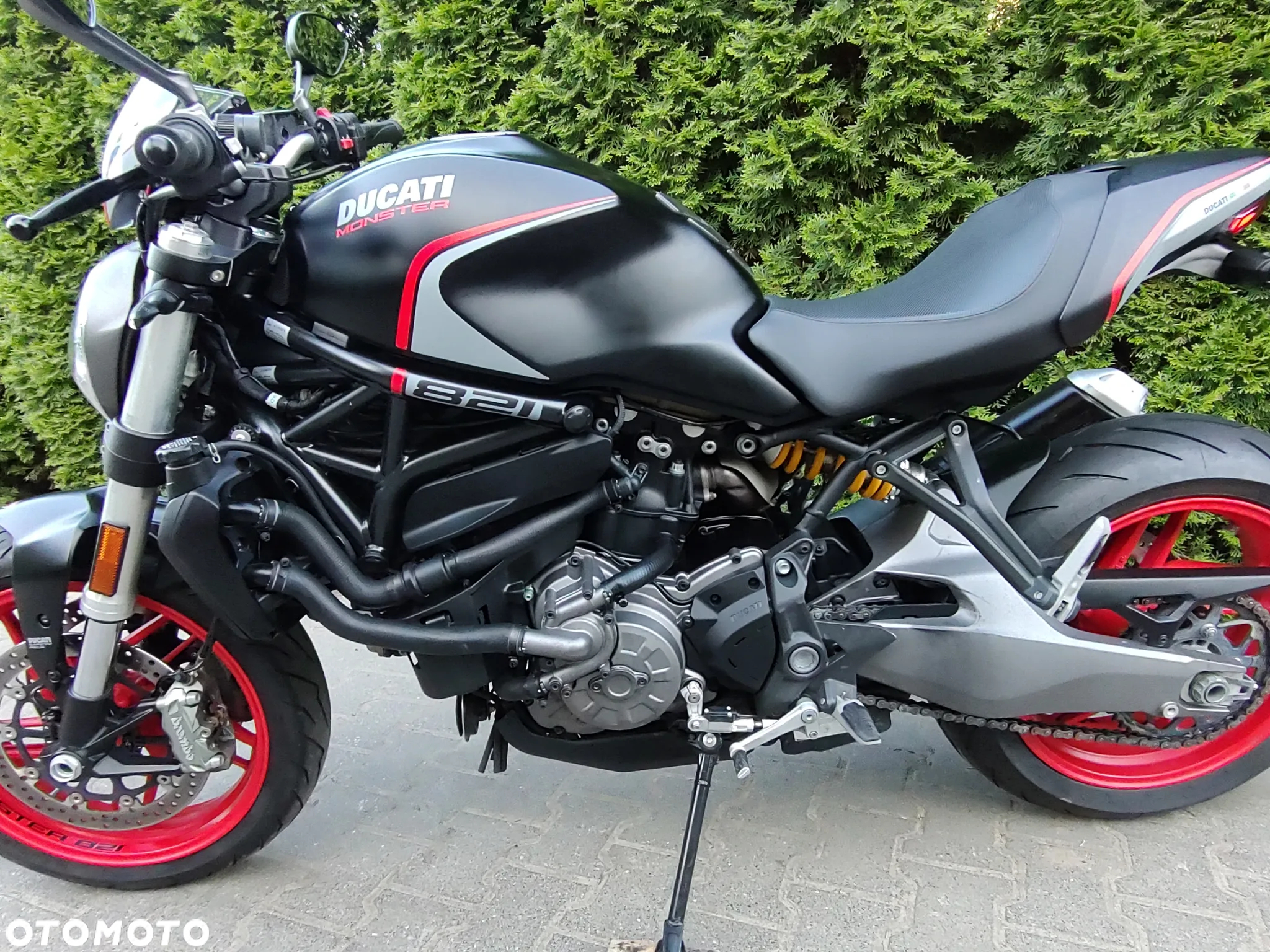 Ducati Monster - 19