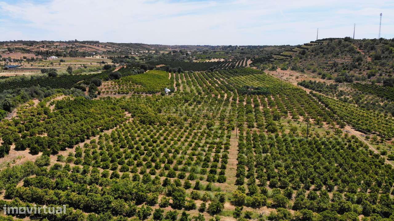 Tavira. Moradia com  implantação de 266 m2 e terreno de 14,5 ha,  em A - Grande imagem: 4/6