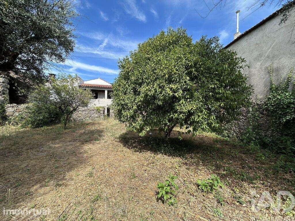 Casa / Villa T3 em Póvoa de Midões de 270 m2 - Grande imagem: 5/12