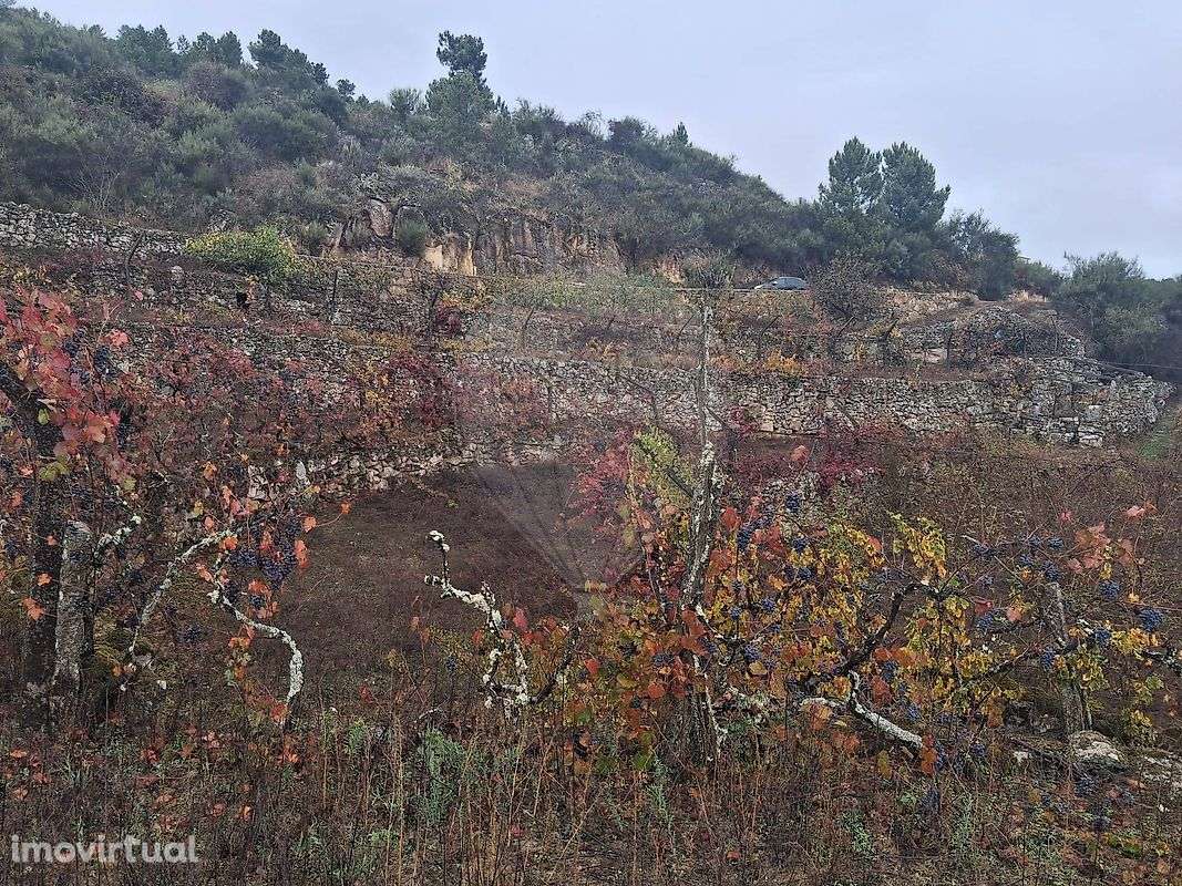 Terreno  para venda - Grande imagem: 5/8