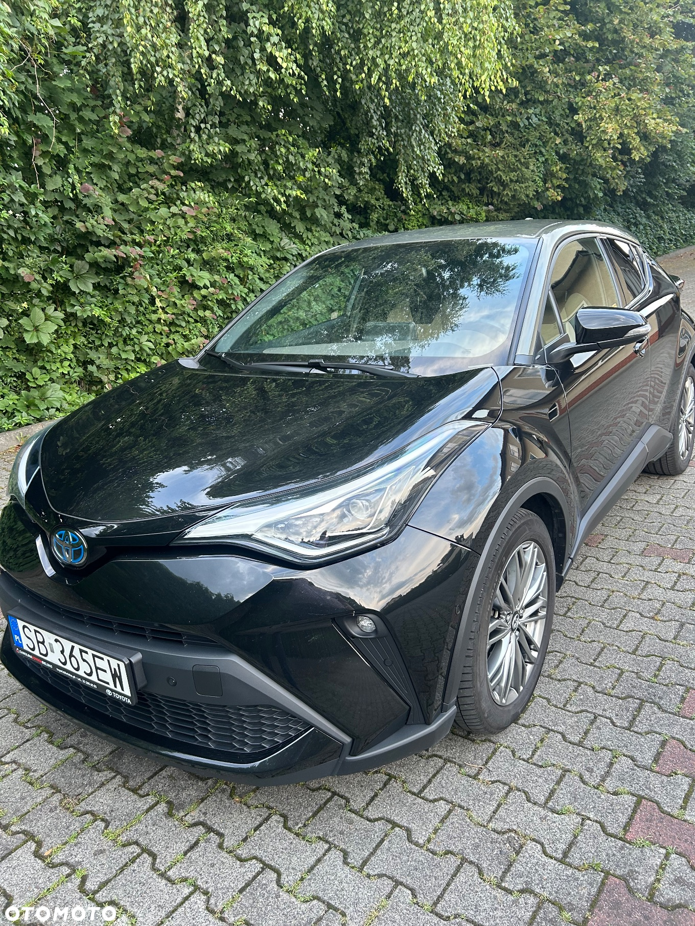 Toyota C-HR 2.0 Hybrid Executive - 3