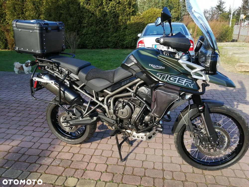Triumph Tiger - 7