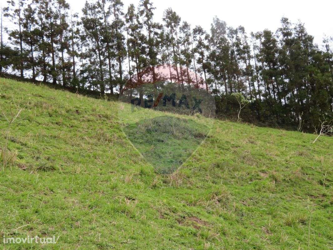 Terreno  para venda - Grande imagem: 3/8