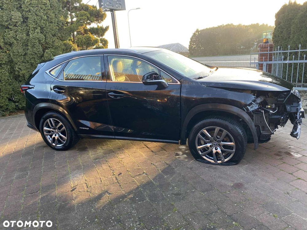 Lexus NX - 5