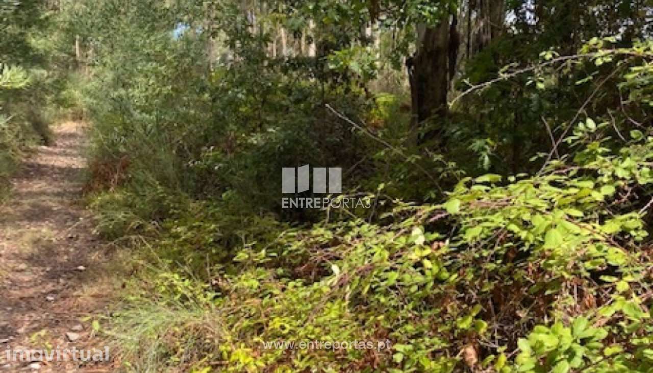 Venda de terreno com 4992 m2, Castelo do Neiva, Viana do Castelo - Grande imagem: 5/18