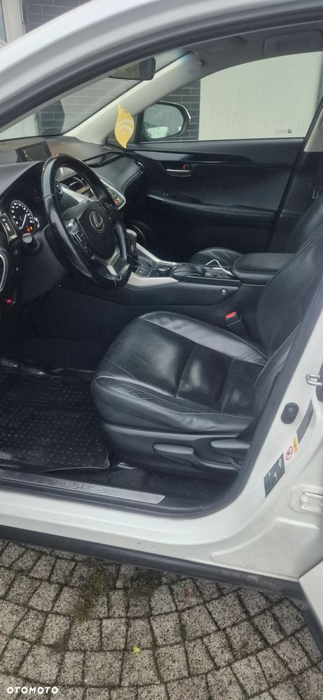 Lexus NX 300h Elite AWD - 17