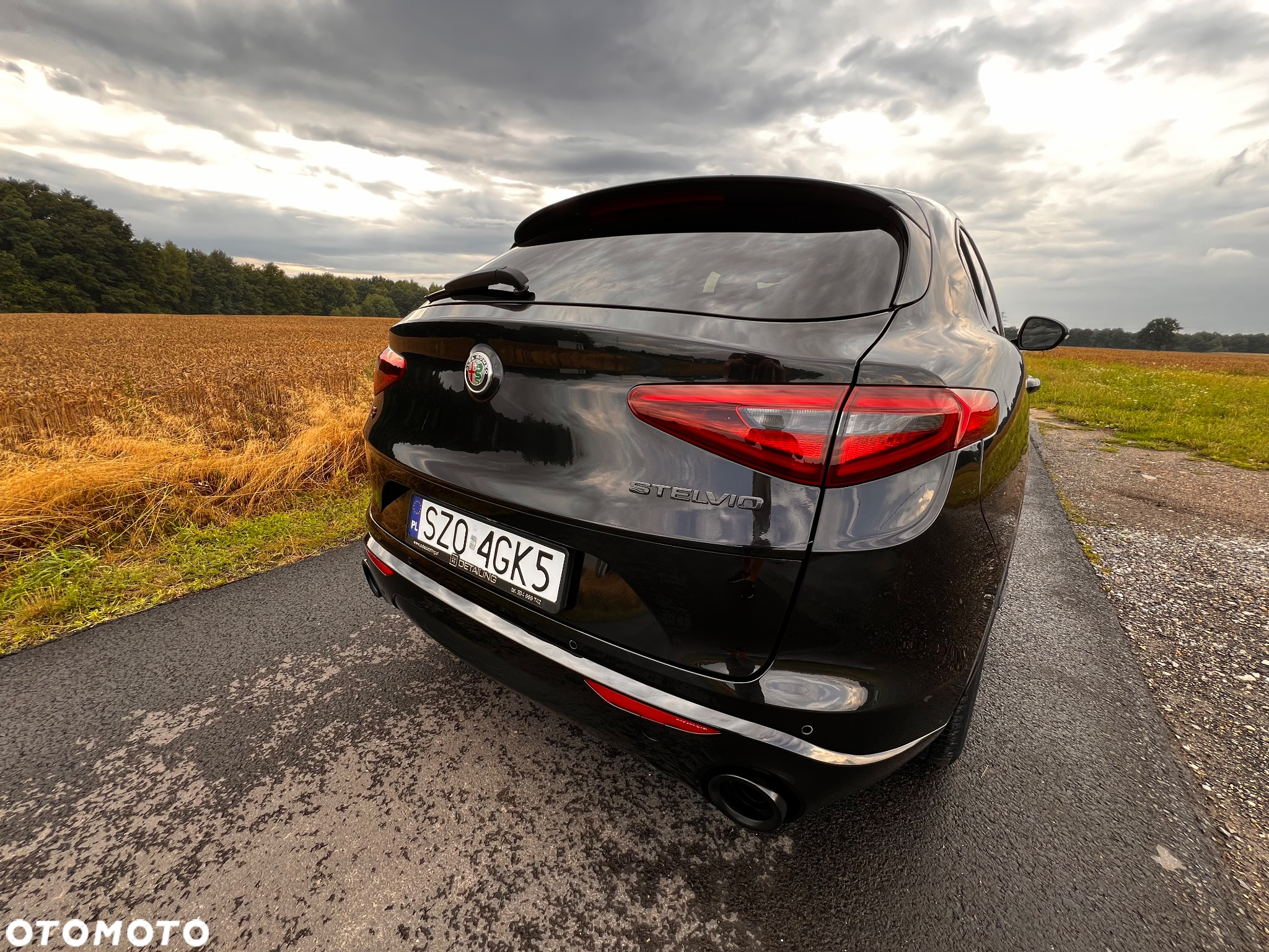 Alfa Romeo Stelvio 2.0 Turbo Veloce Q4 - 8