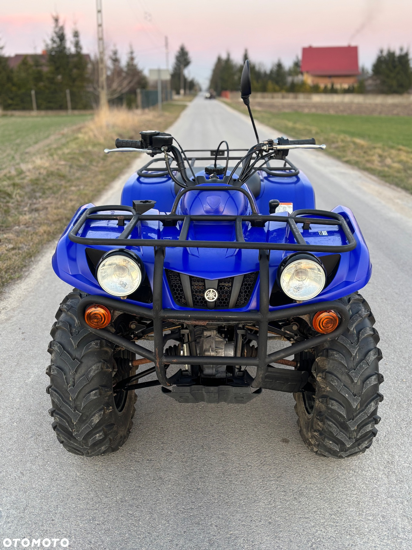 Yamaha Grizzly
