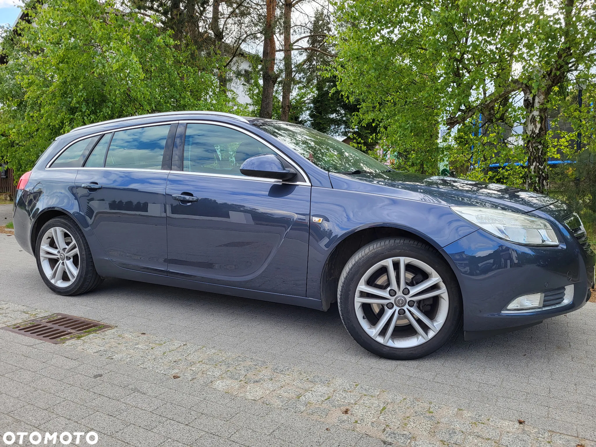 Opel Insignia 1.6 Turbo Sports Tourer Cosmo - 14
