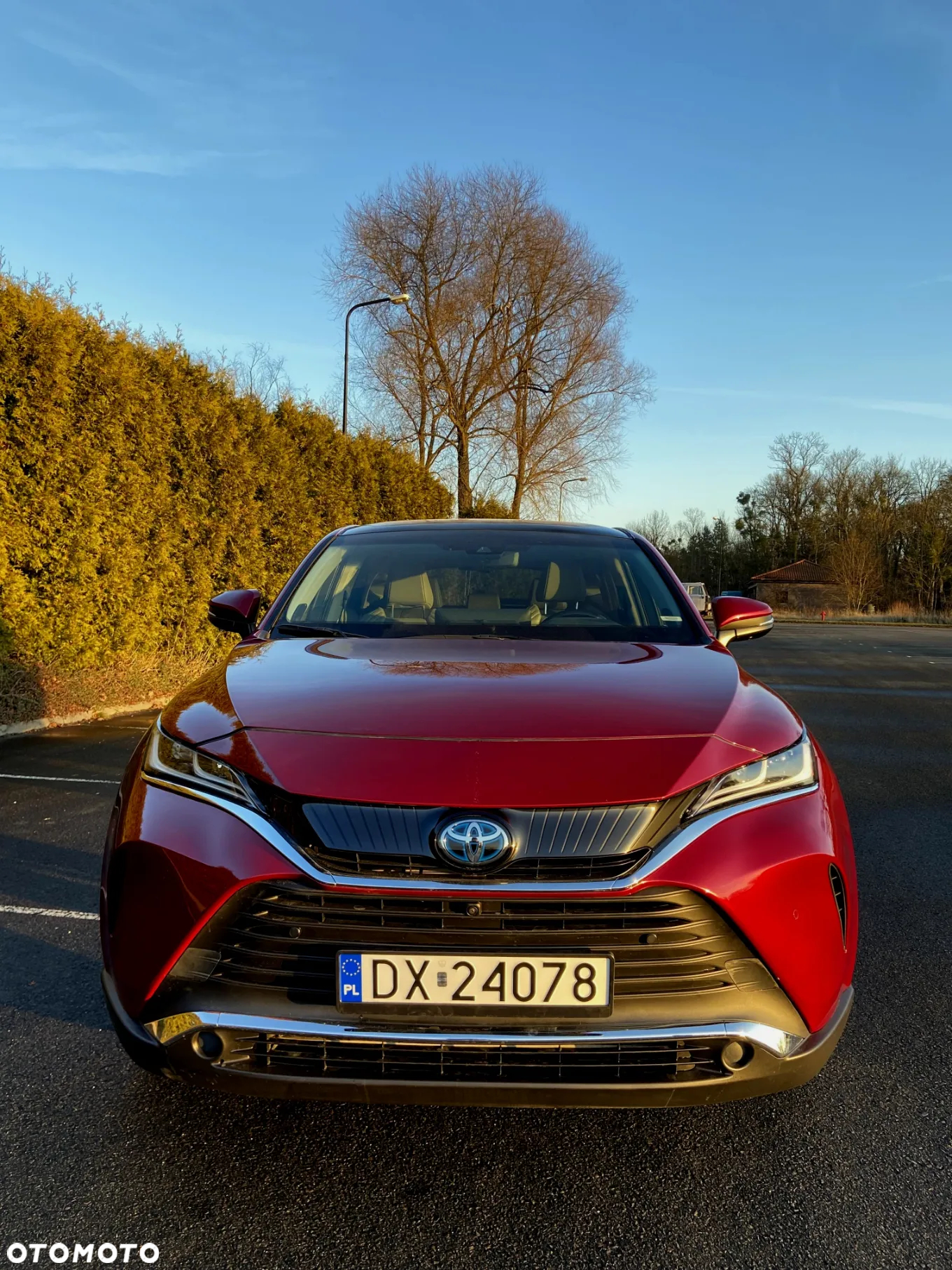 Toyota Venza - 14